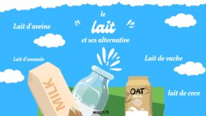 Infographie sur le lait de vache et le lait végétale