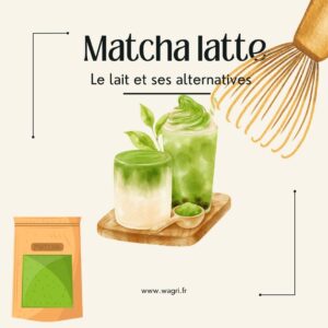 Lait pour un matcha latte
