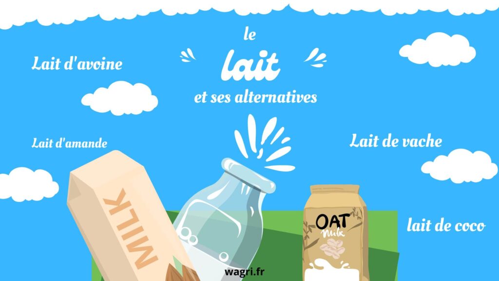 Infographie sur le lait de vache et le lait végétale 