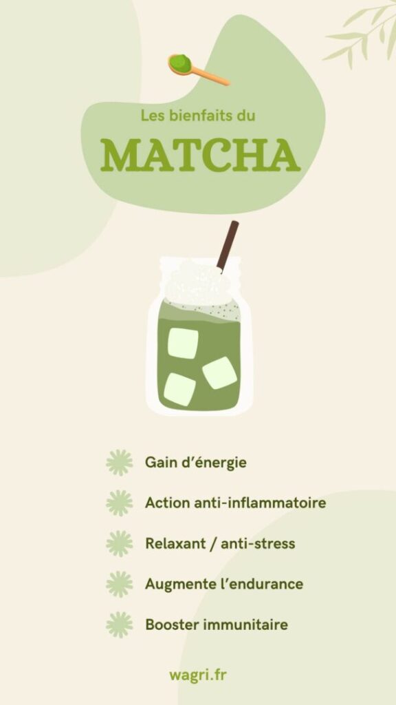 Les bienfaits du matcha latte