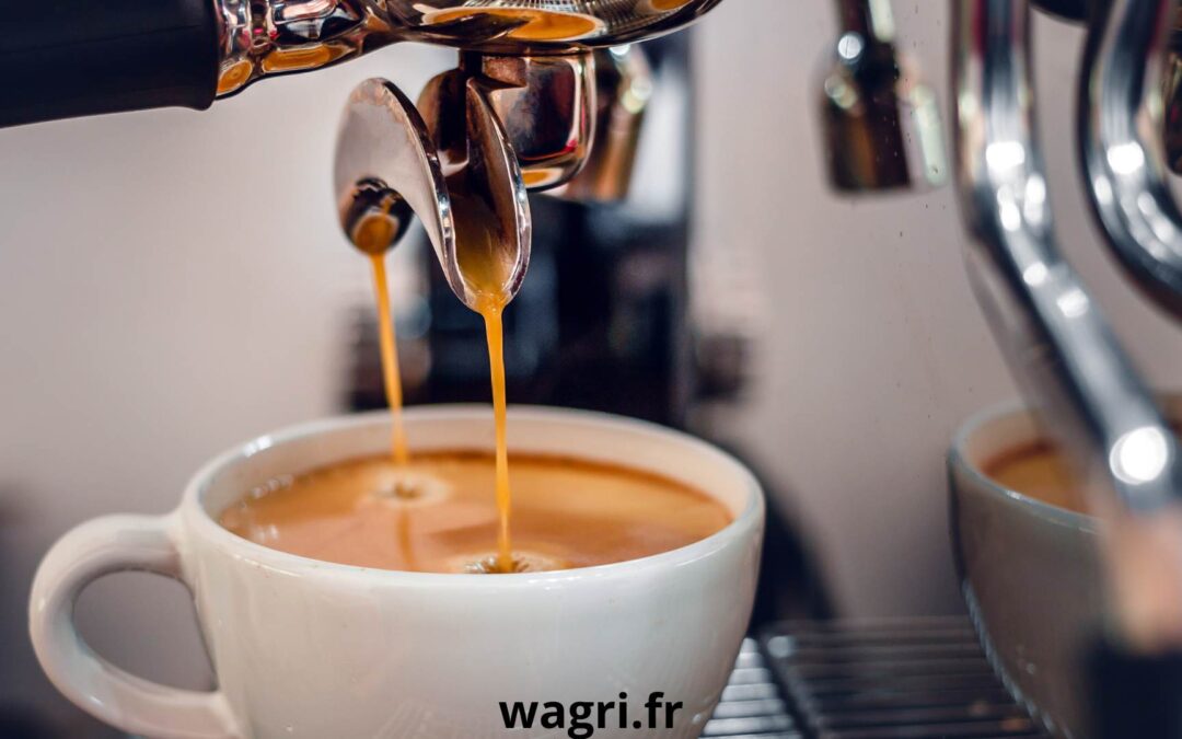 Conseils pour choisir votre première machine à expresso