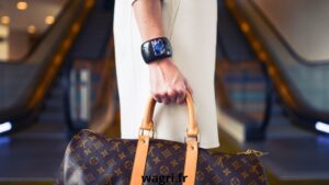 Sac Louis Vuitton